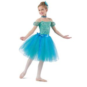 Costume Gallery Promise Me The Spring Dress Blue Size Medium Child Sequin Tulle